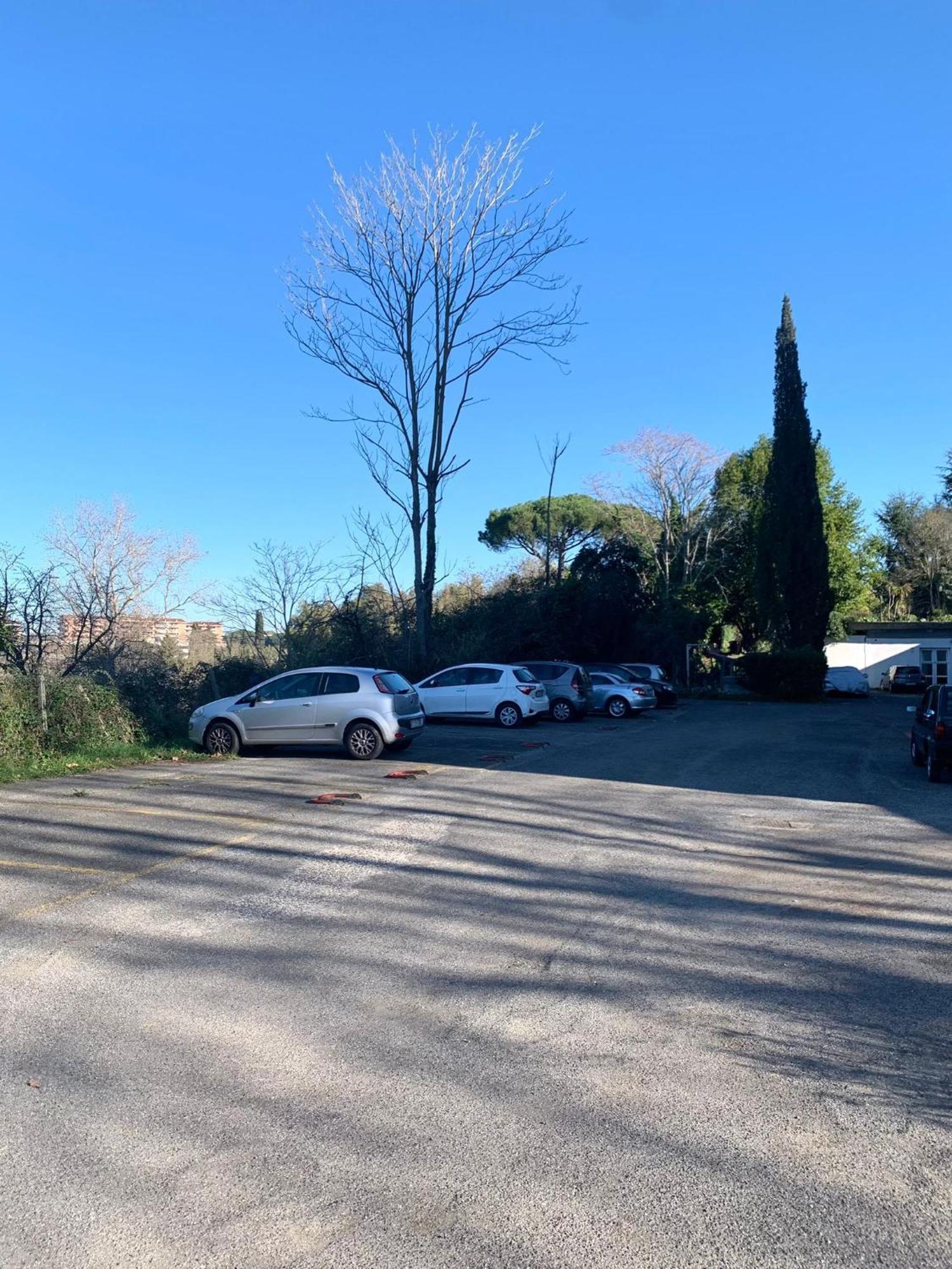 Aurelia House Garden Apartment Rome Exterior photo